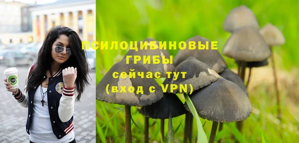 ПСИЛОЦИБИНОВЫЕ ГРИБЫ Алексин