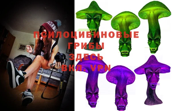 бошки Алзамай