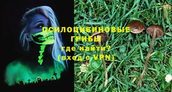 ПСИЛОЦИБИНОВЫЕ ГРИБЫ Алексин