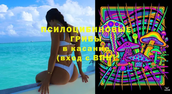 ПСИЛОЦИБИНОВЫЕ ГРИБЫ Алексин